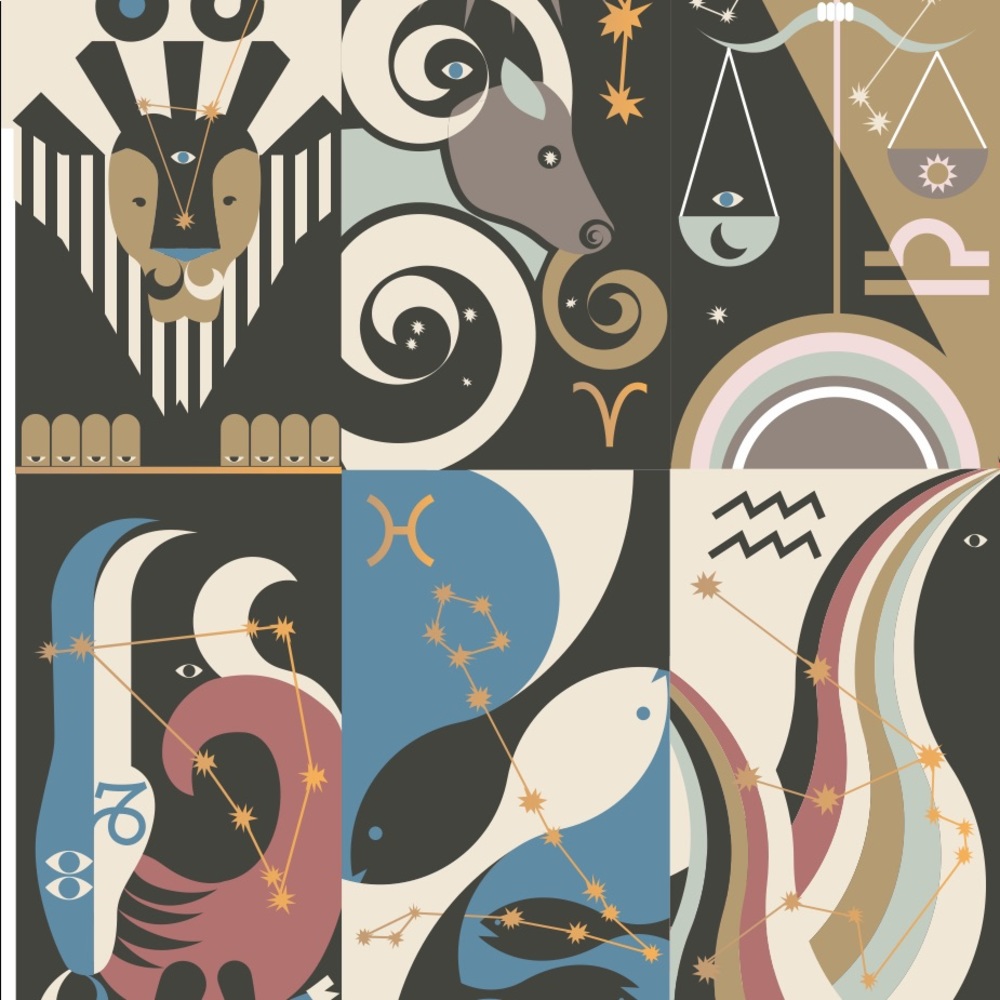 🌸HP🌸STANCE ZODIAC socks✨